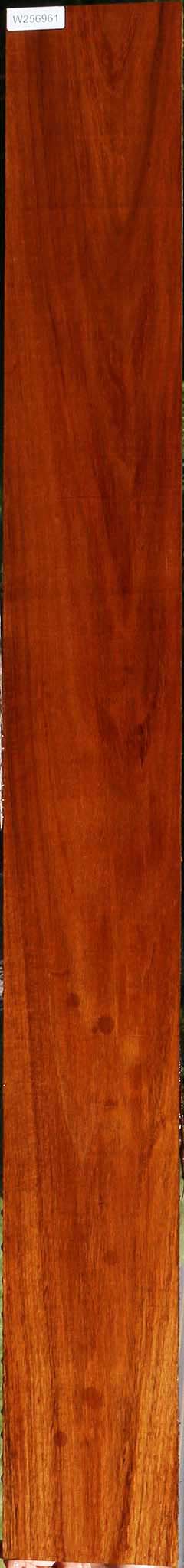 Tzalam Lumber