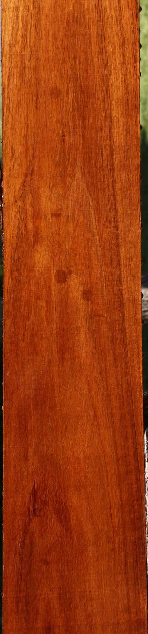Tzalam Lumber