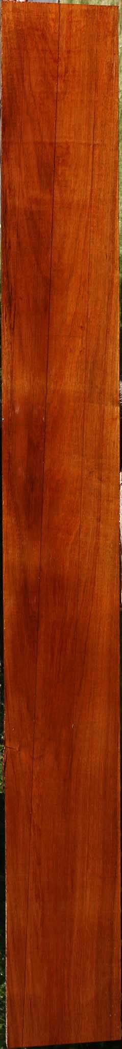 Tzalam Lumber