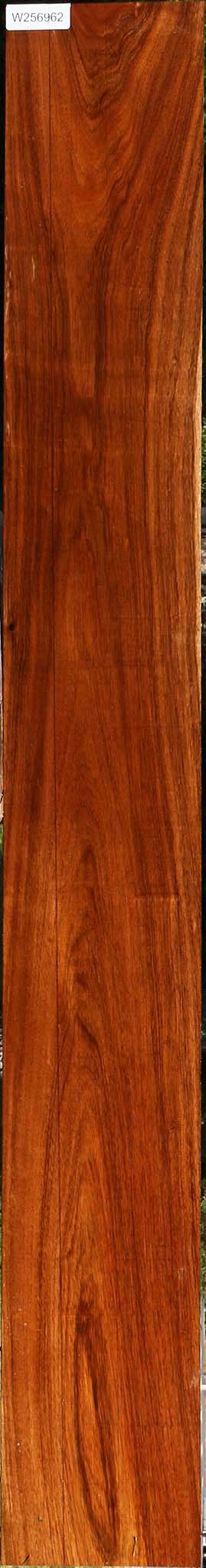 Tzalam Lumber