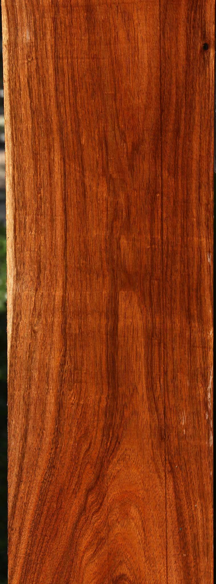 Tzalam Lumber