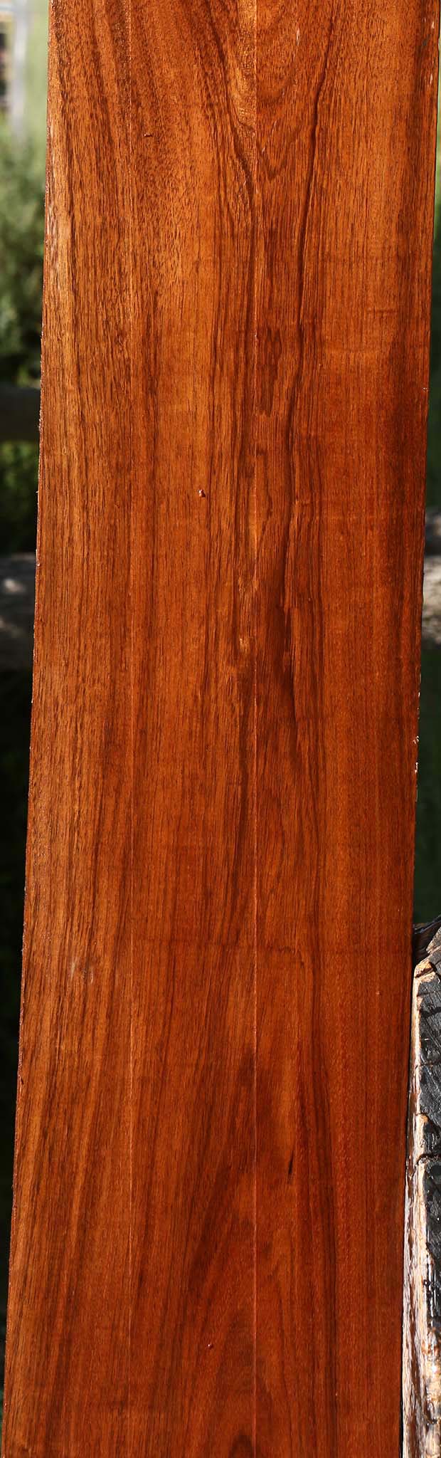 Tzalam Lumber