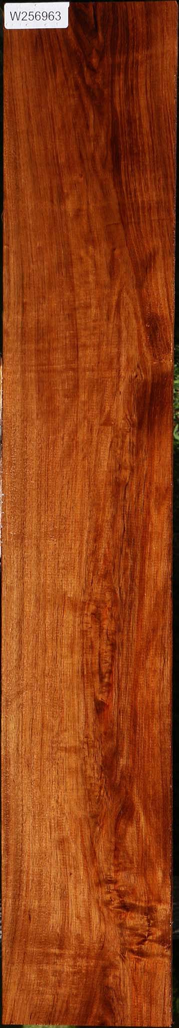 Figured Tzalam Lumber