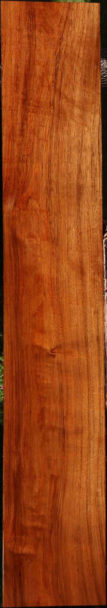 Figured Tzalam Lumber
