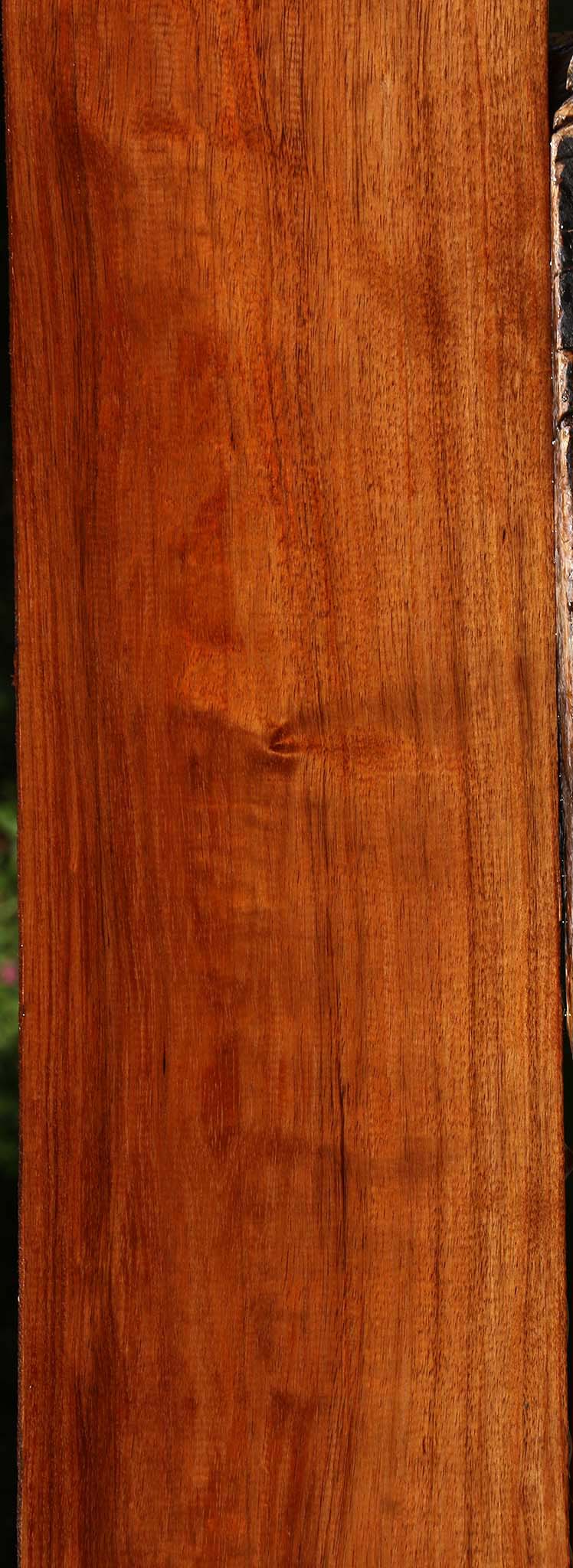 Figured Tzalam Lumber