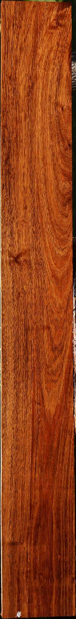 Tzalam Lumber