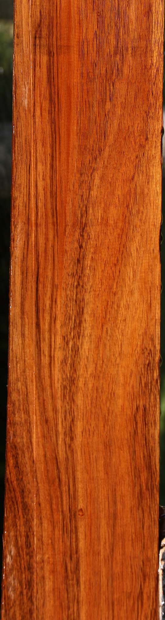 Tzalam Lumber