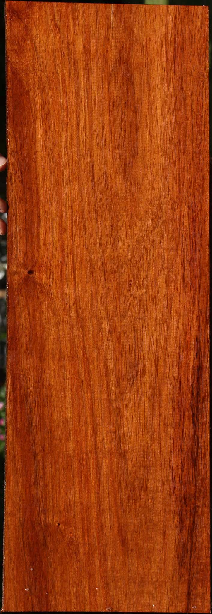 Tzalam Lumber