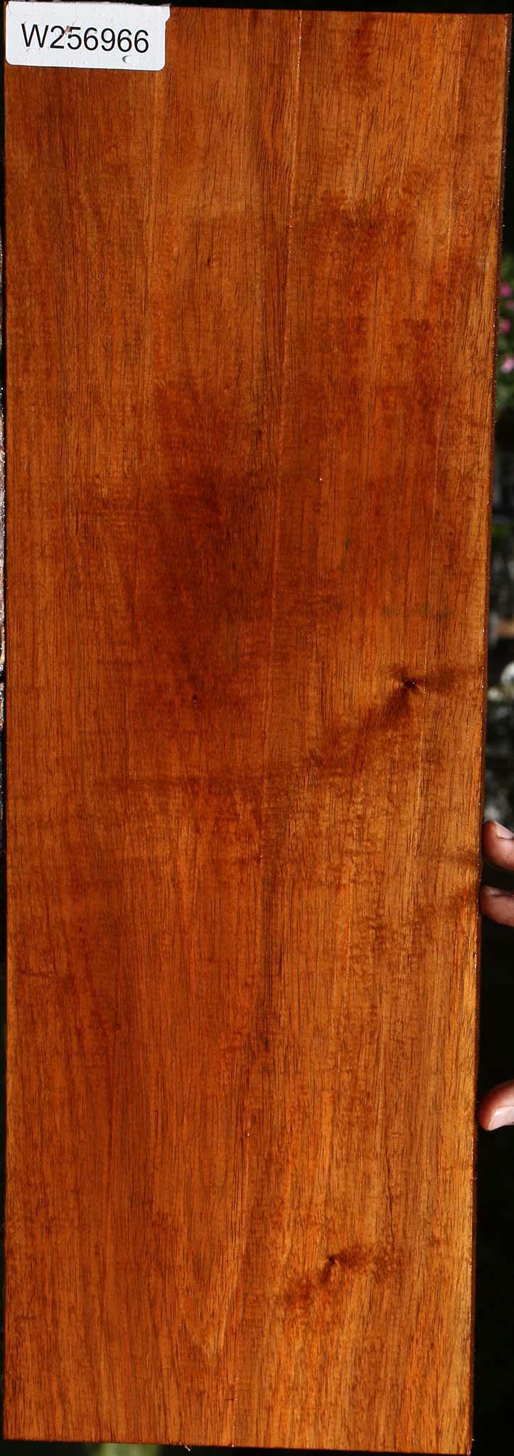 Tzalam Lumber