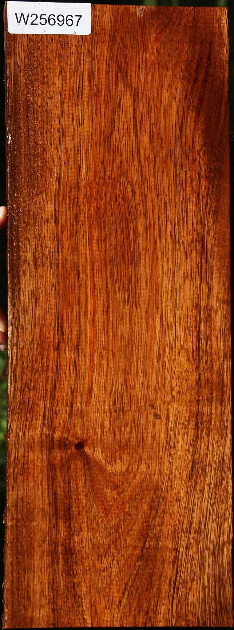 Tzalam Lumber