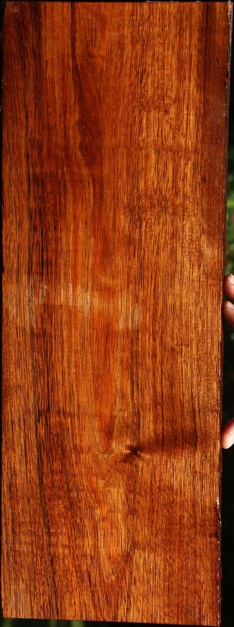 Tzalam Lumber