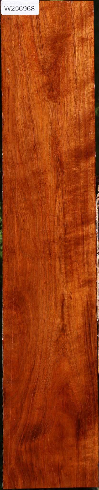 Figured Tzalam Lumber