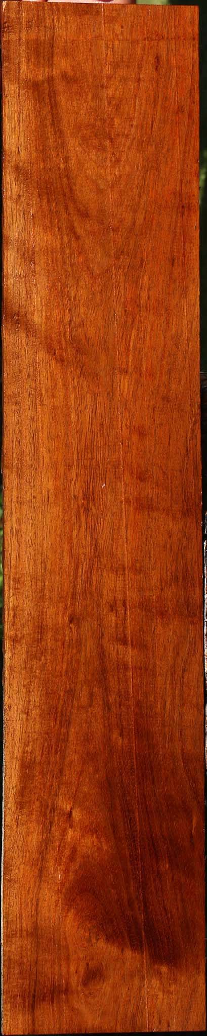 Figured Tzalam Lumber