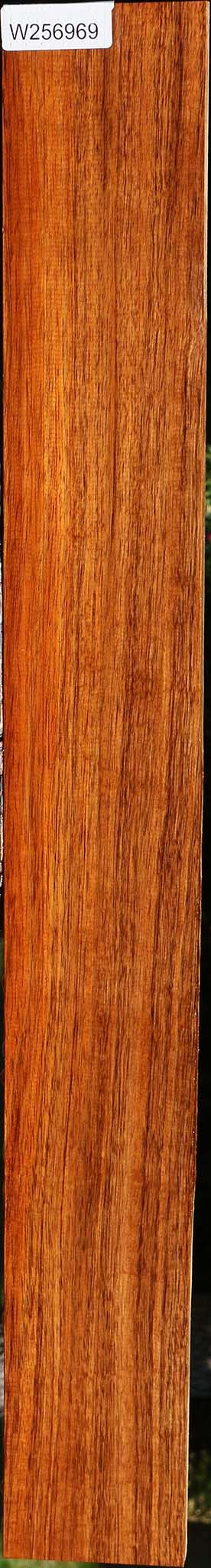 Tzalam Lumber