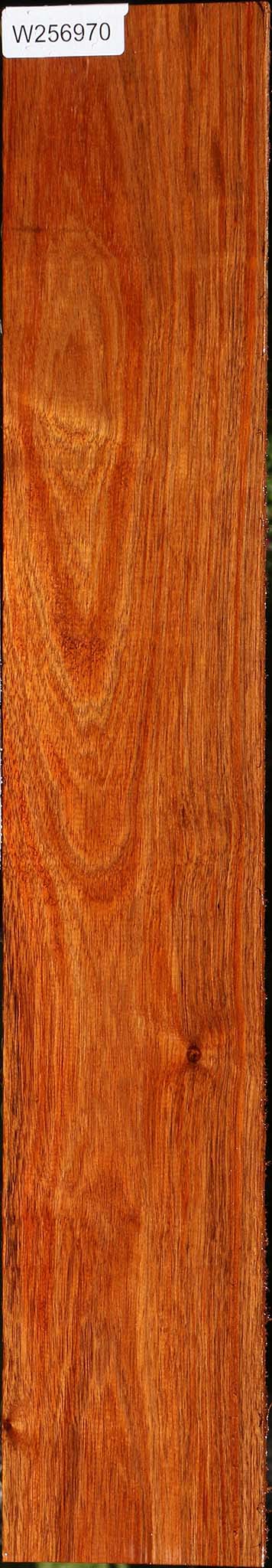 Figured Tzalam Lumber