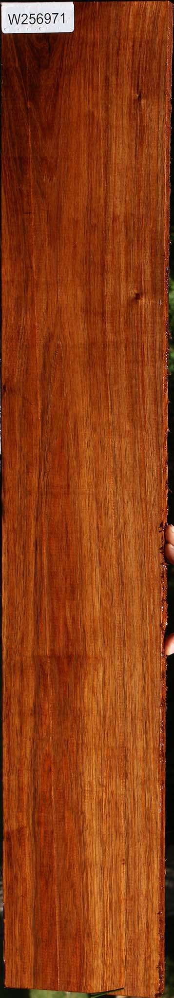Tzalam Lumber