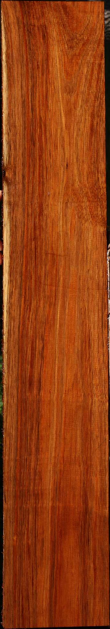 Tzalam Lumber