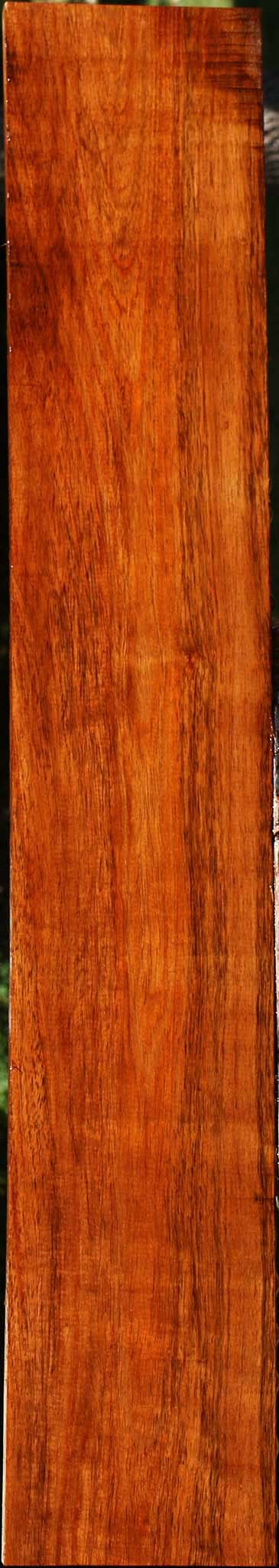Figured Tzalam Lumber