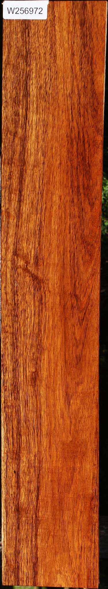 Figured Tzalam Lumber