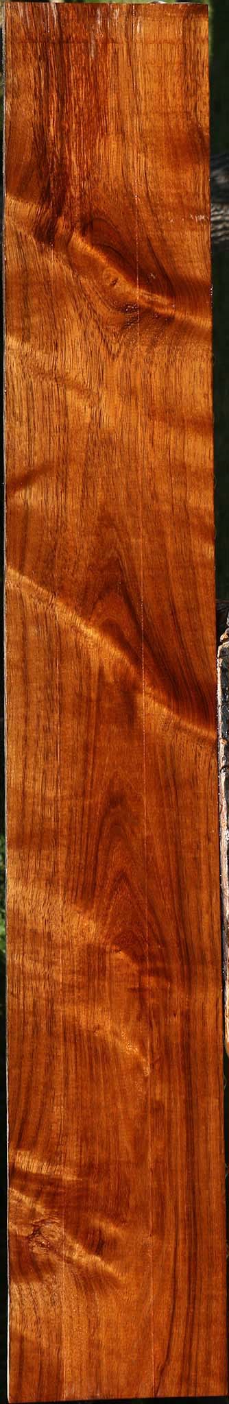 Extra Fancy Tzalam Lumber