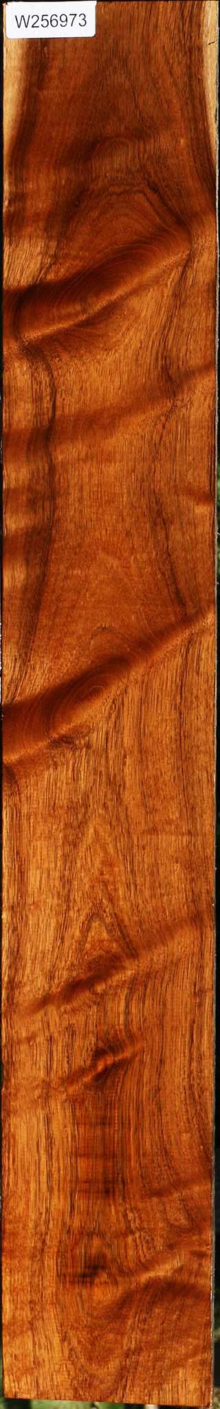 Extra Fancy Tzalam Lumber