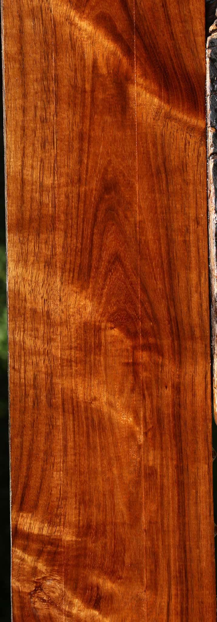Extra Fancy Tzalam Lumber