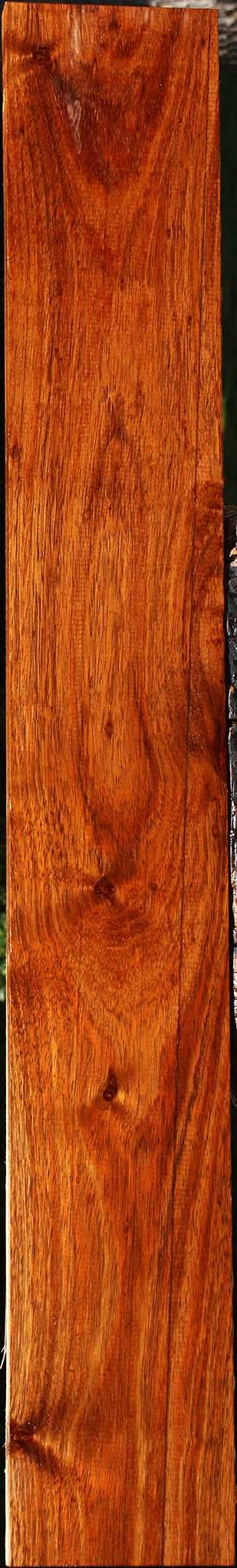 Tzalam Lumber