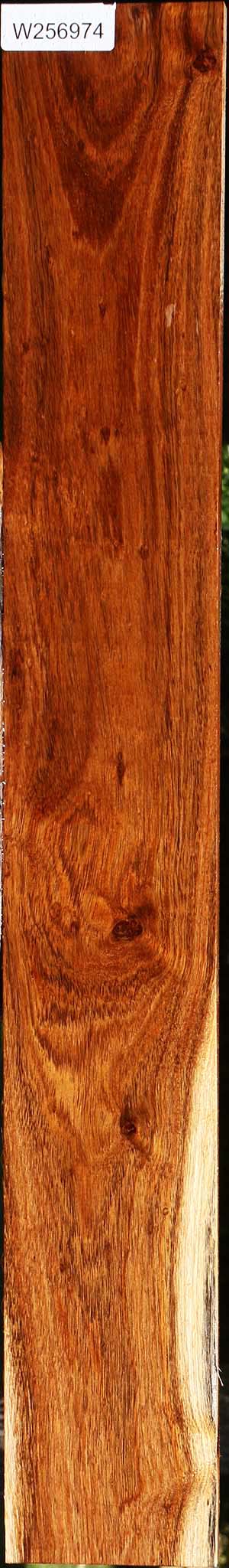 Tzalam Lumber