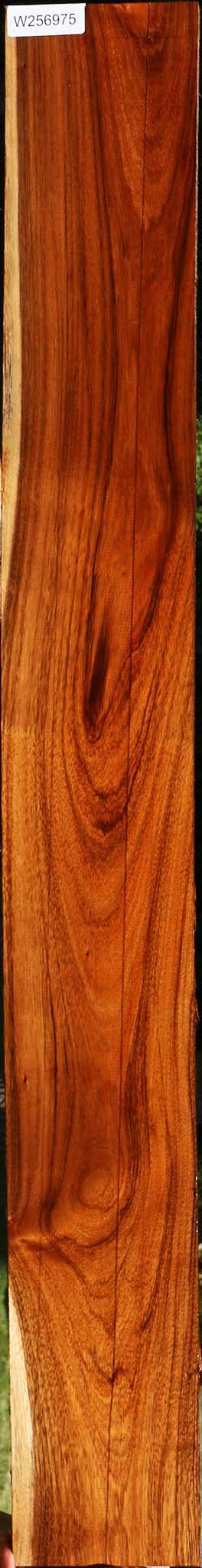 Tzalam Lumber