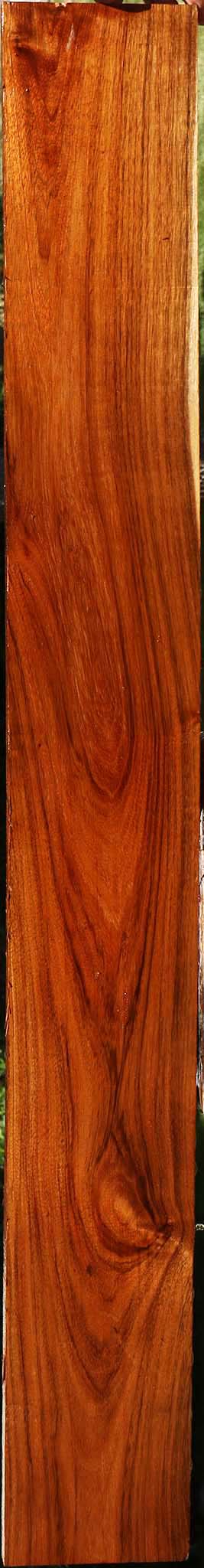 Tzalam Lumber