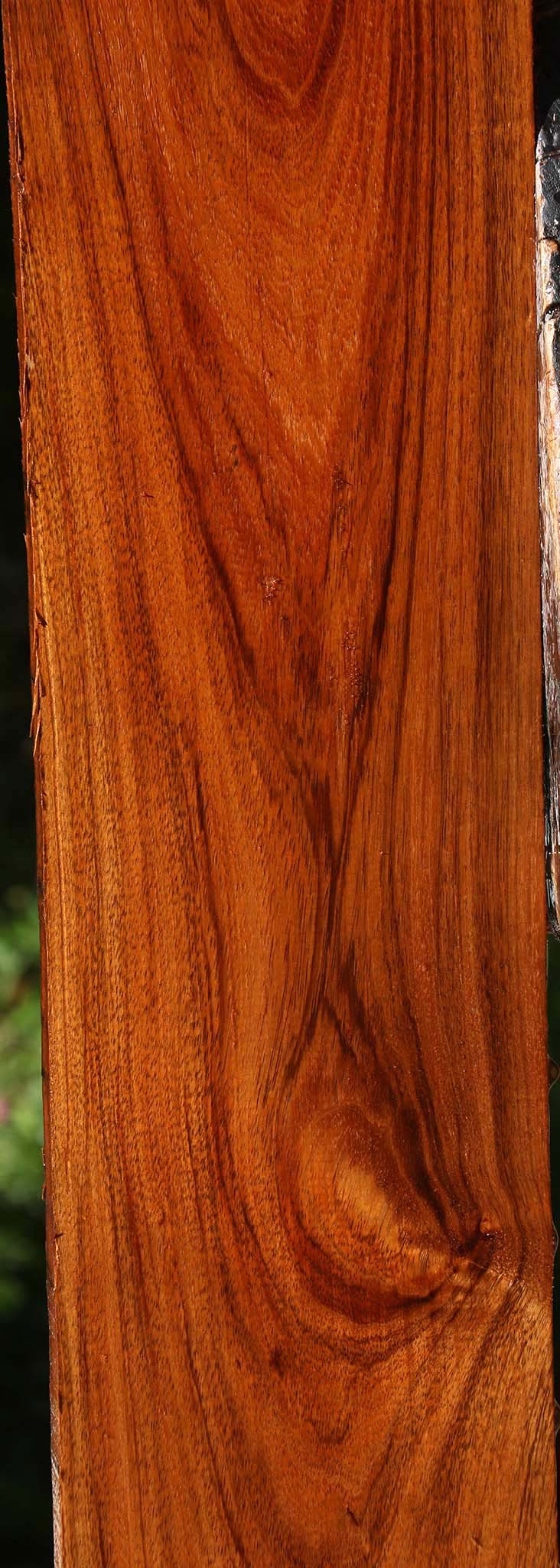 Tzalam Lumber