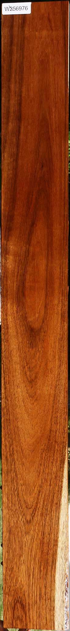 Figured Tzalam Lumber