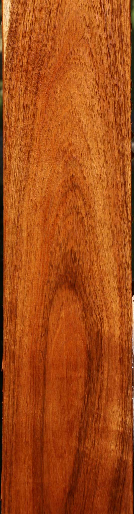Figured Tzalam Lumber