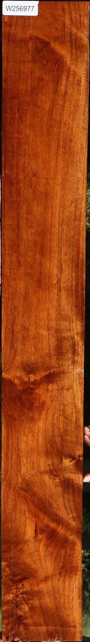 Extra Fancy Tzalam Lumber