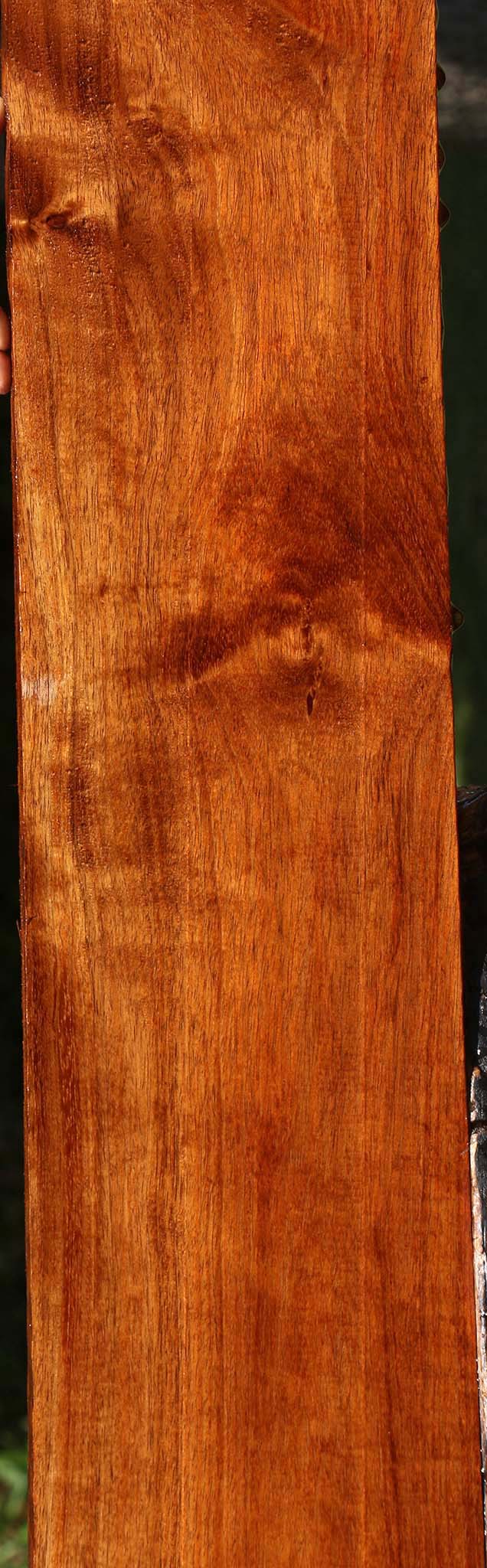 Extra Fancy Tzalam Lumber