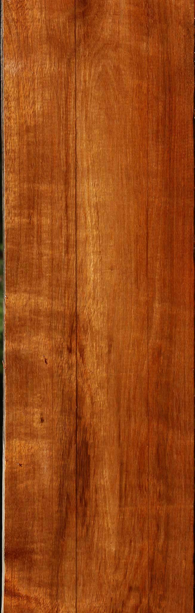 Extra Fancy Tzalam Lumber