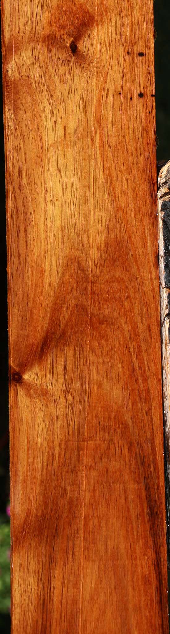 Figured Rustic Tzalam Lumber