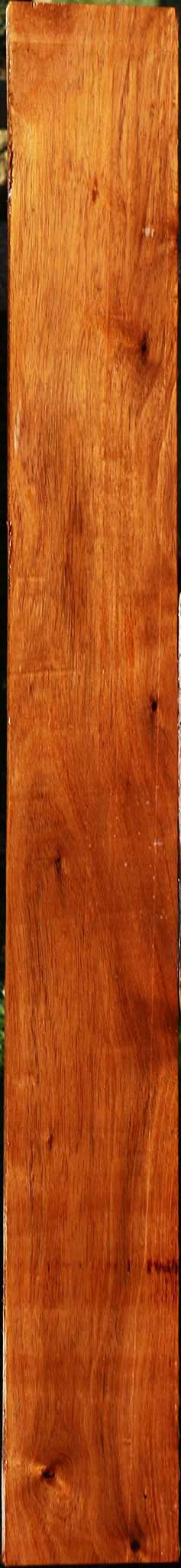 Tzalam Lumber