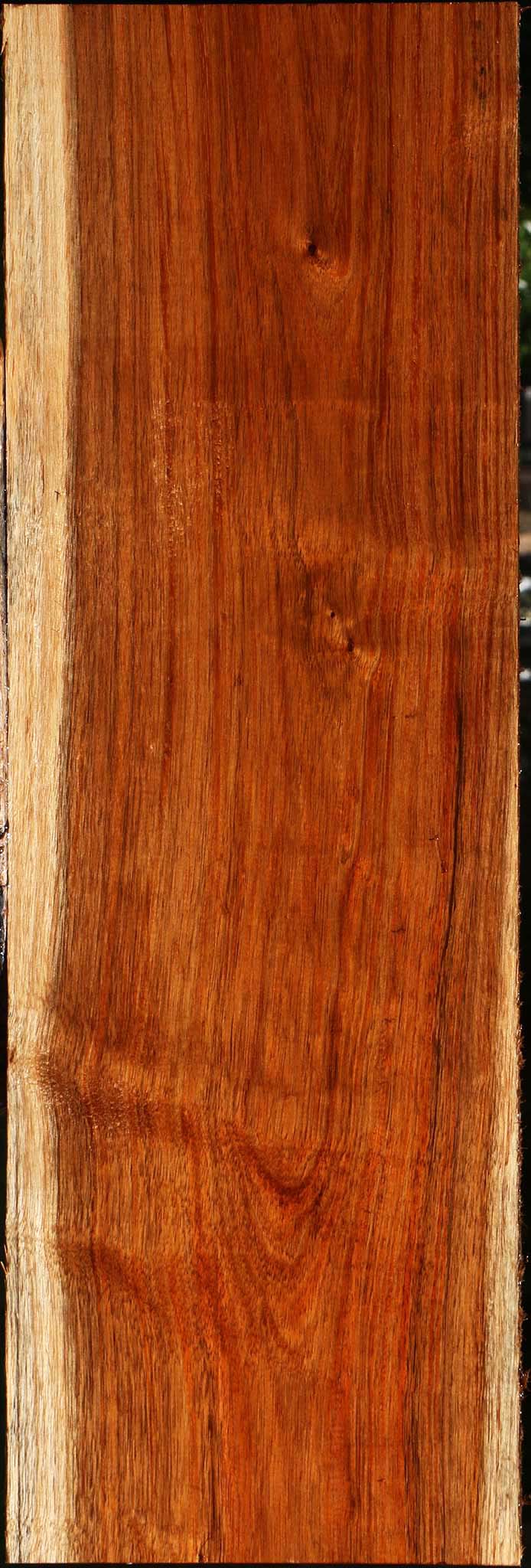 Tzalam Lumber