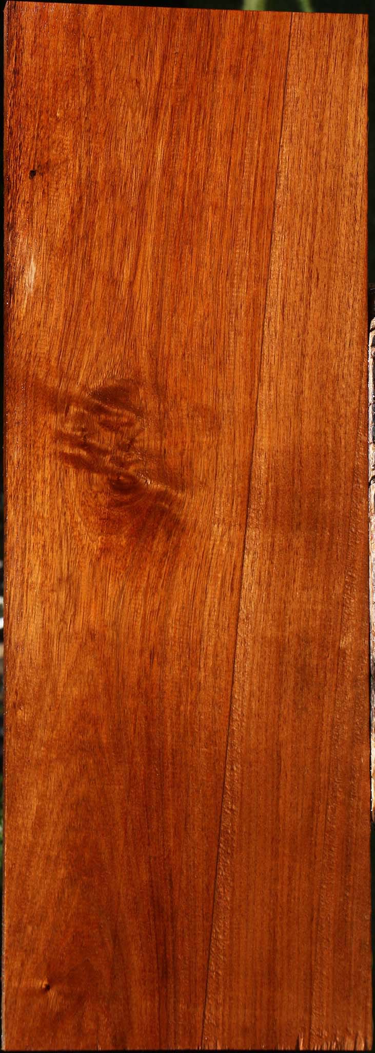 Tzalam Lumber