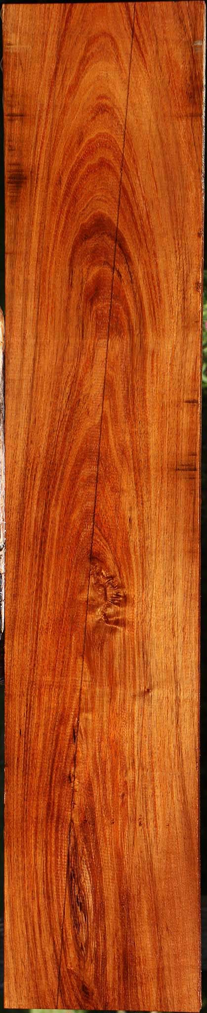 Tzalam Lumber