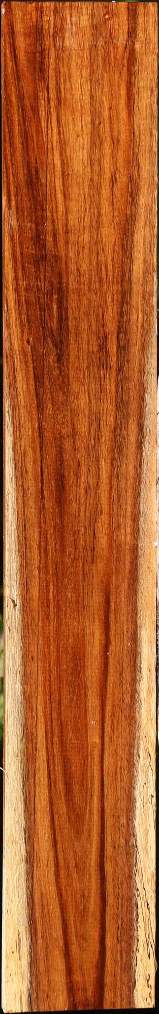 Tzalam Lumber