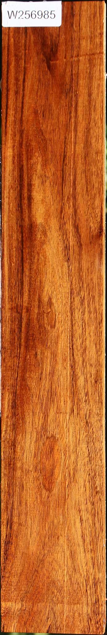 Tzalam Lumber