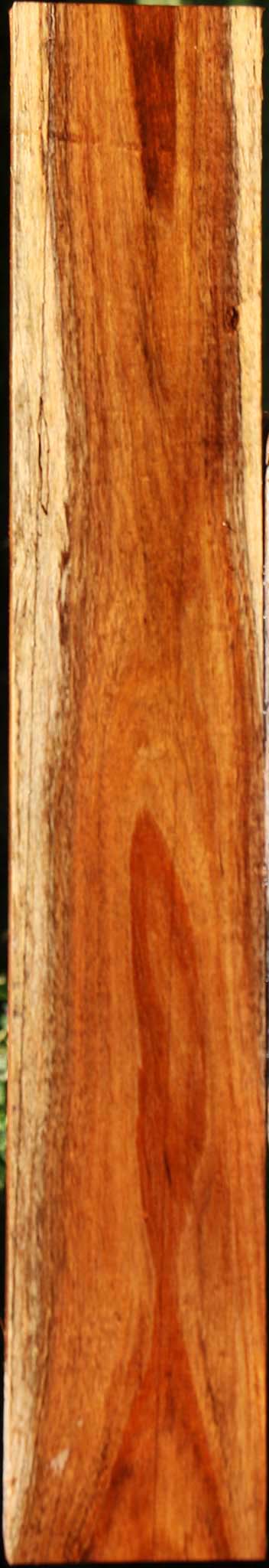 Tzalam Lumber