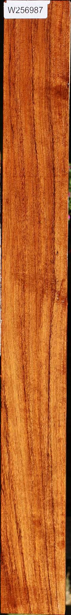 Figured Tzalam Lumber