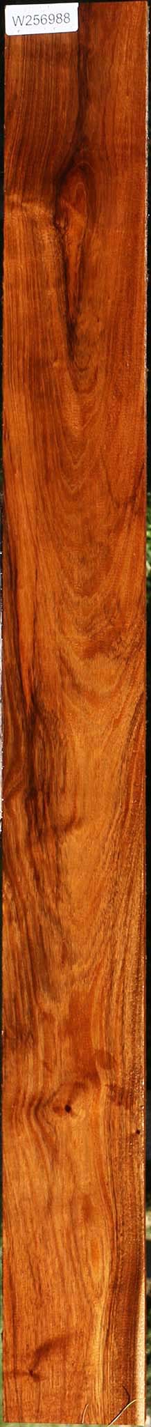 Figured Tzalam Lumber