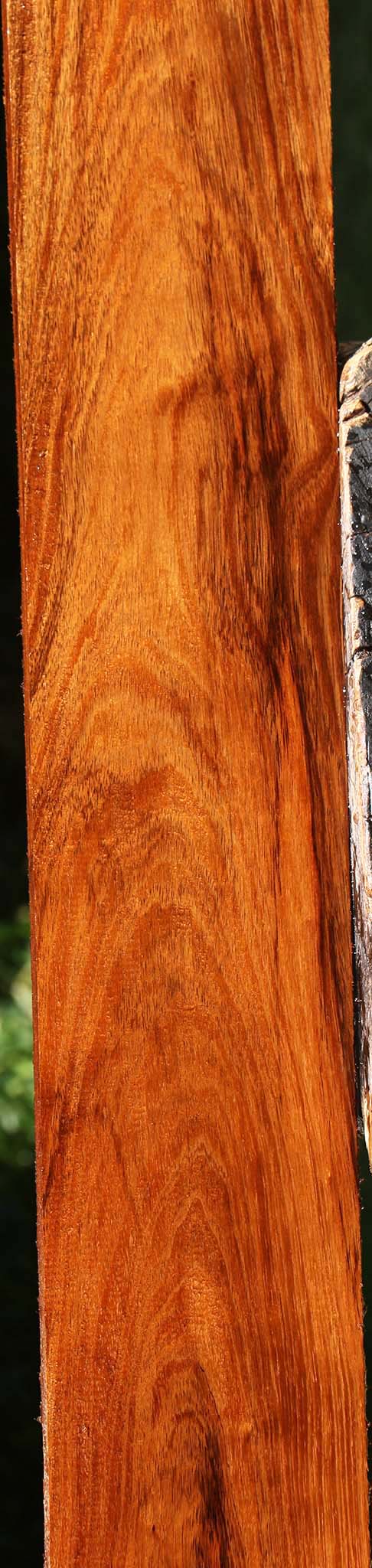 Figured Tzalam Lumber
