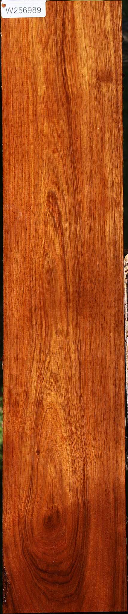 Tzalam Lumber
