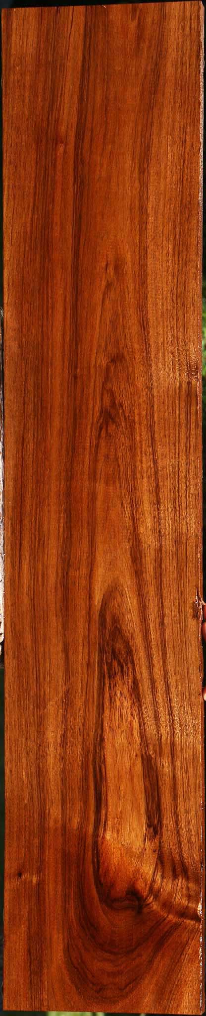 Tzalam Lumber