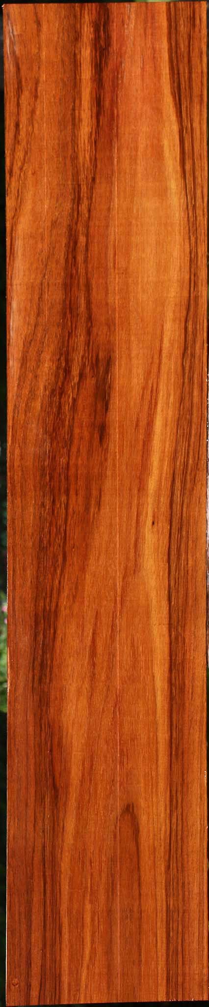 Tzalam Lumber